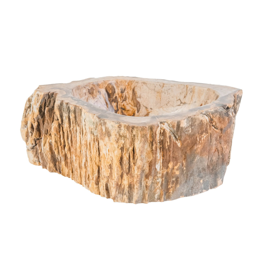 NATURAL FOSSIL WOOD BASIN
