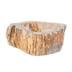 NATURAL FOSSIL WOOD BASIN