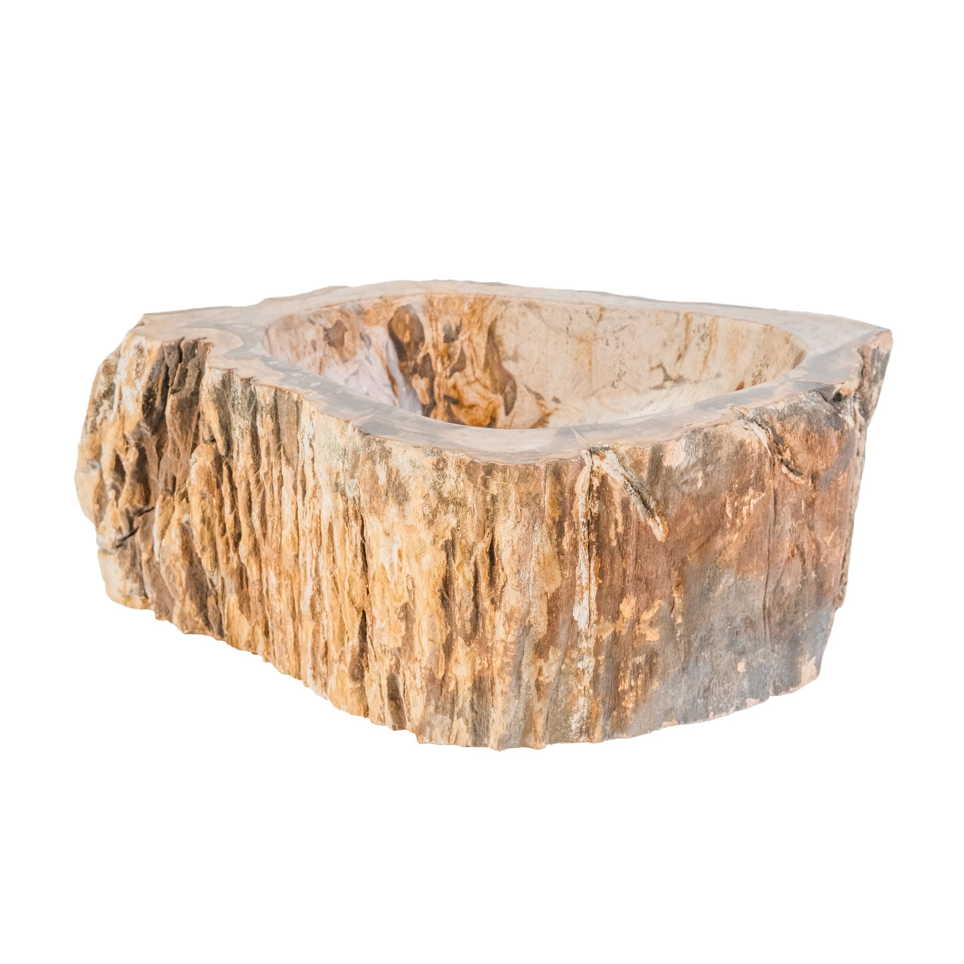 NATURAL FOSSIL WOOD BASIN