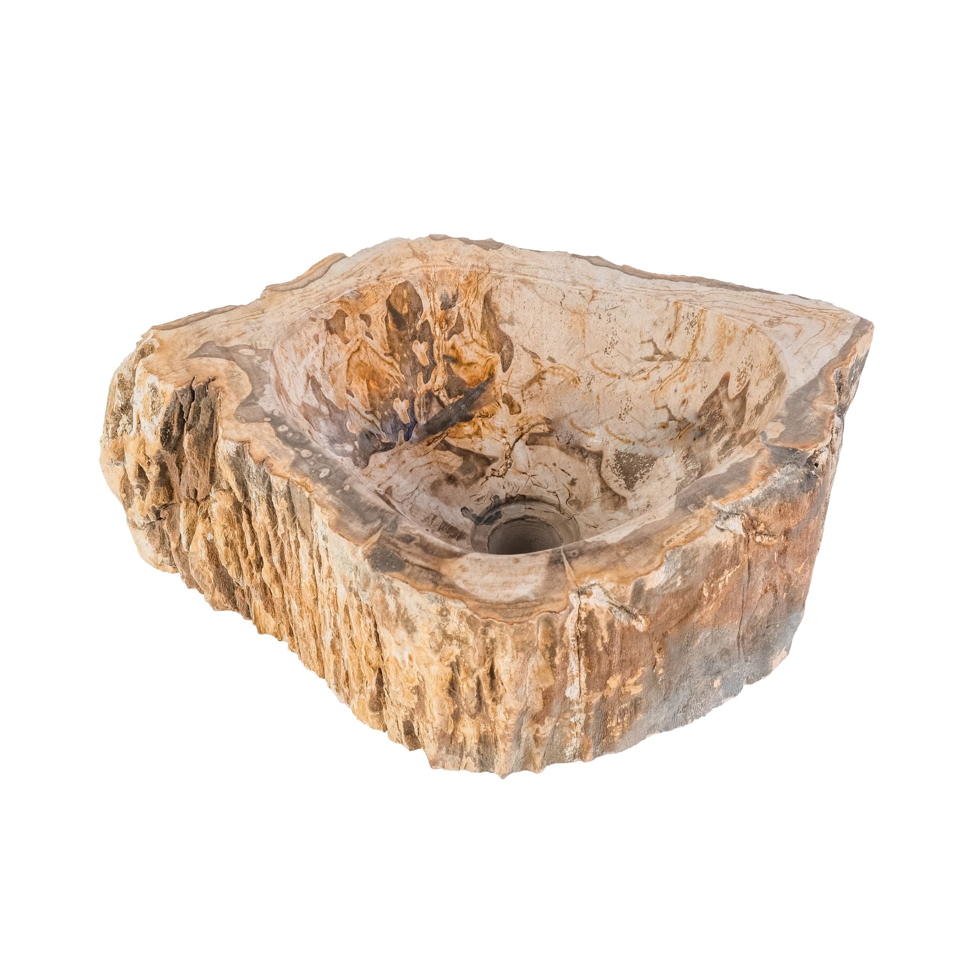 NATURAL FOSSIL WOOD BASIN