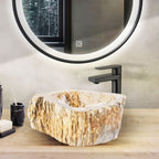NATURAL FOSSIL WOOD BASIN